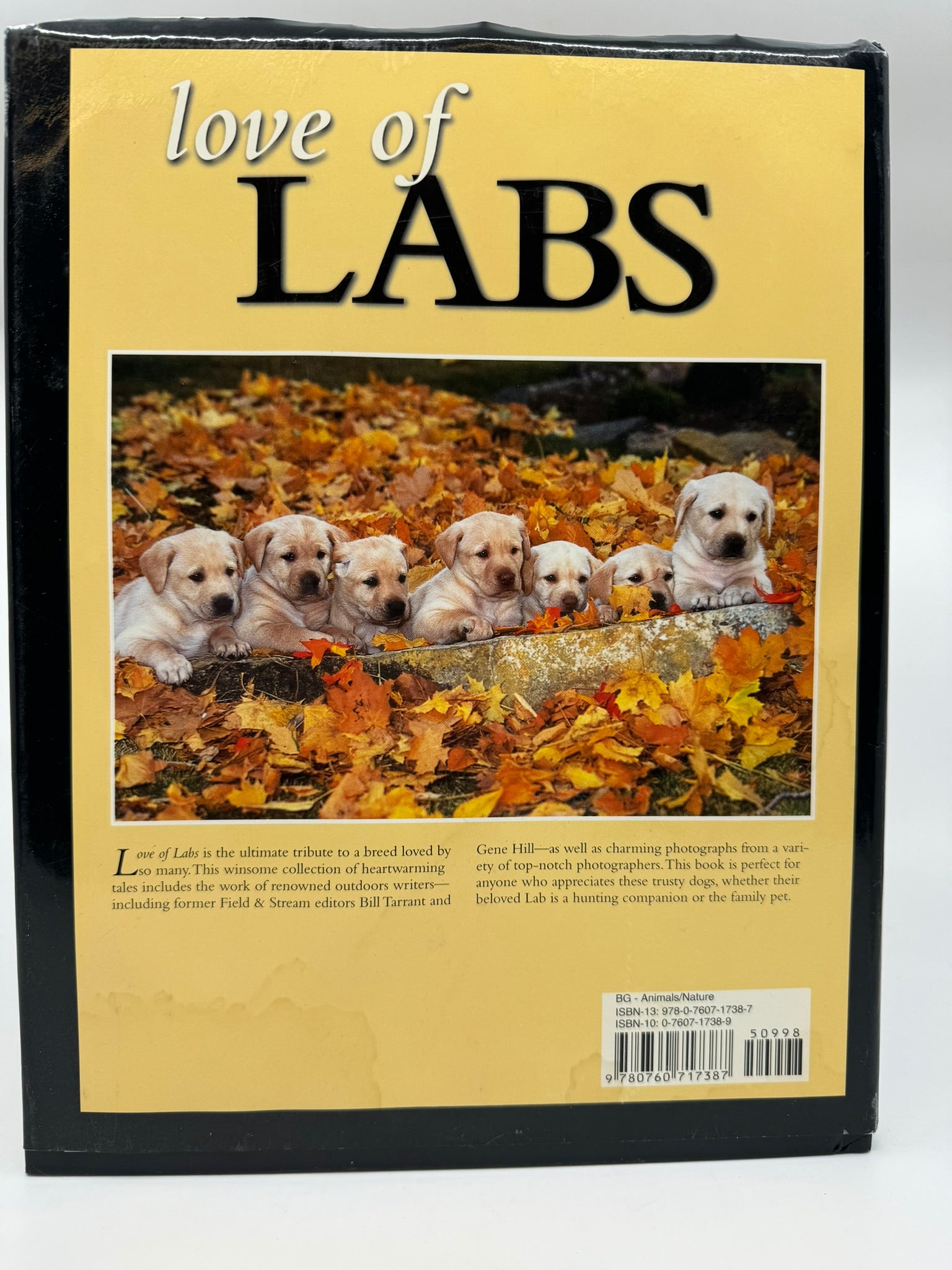 Love of Labs: A Tribute to Labrador Retrievers
