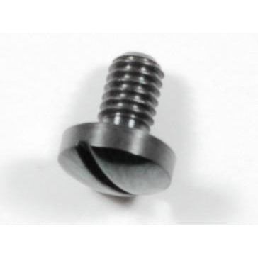 Steyr DT Windage Screw